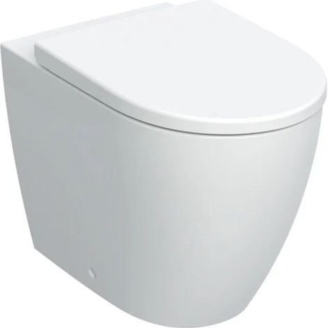Vaso filo parete rimfree Icon con sedile chiusura rallentata — Geberit (1/5)