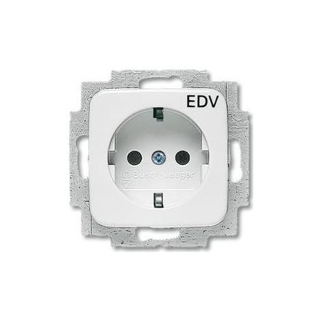 Busch-Jaeger Steckdosen-Einsatz aws 20 EUC/DV-214 (1/5)