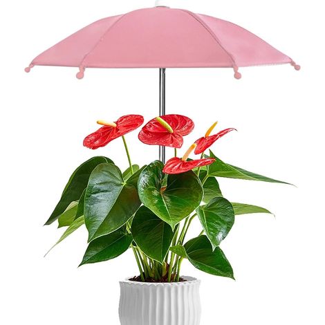 Pflanzenschirm Set Sonnenschutz für Garten Pflanzen (1/5)