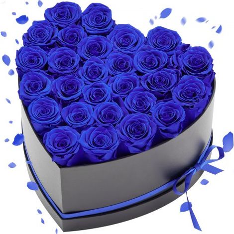 27 Rosas Eternas en Caja con Forma de Corazón, Ramo de Flores Preservadas, Regalo para Esposa, Madre, Pareja, Boda, Día de la Madre, San Valentín, Navidad, Azul Real, 224 x 231 x 145 mm (1/5)