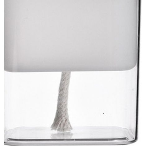 Lot transparent semi-transparent en plastique pour plantes, pot auto-arrosant pour lierre d'intérieur, design minimaliste, compatible poisson et plante, décoration intérieure (1/3)