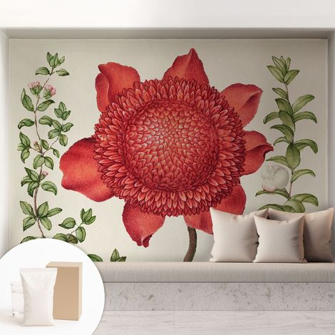Carta Da Parati - Murale Alla Moda Decorazione - Camera Da Letto - Con Colla Gratuita Eleganza floreale 208x146 cm (1/5)