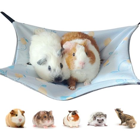 Maison cochon d'inde, Hamac Lit Hamac pour Animaux de Compagnie À Double Couche Chinchilla Furet pour cage de petit animal de compagnie, pour Chinchilla,Hérisson,Cobayes (Glace Soie, citron bleu) (1/5)