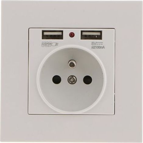 Prise Murale, Prise Electrique Murale avec Double USB 5V/2100mA, Prise Encastrable avec 2 Ports de USB Pratique et Manialble (1/5)