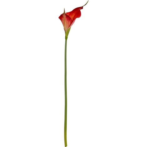 Fireball Calla Lily Artificial Flower - Plastic - H70 cm - Red