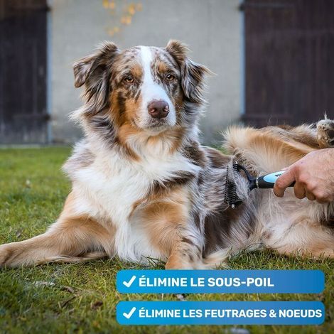 Brosse à poils longs pour chiens et chats Peigne de toilettage pour sous-poil enlève le sous-poil et le duvet Massages et protection supérieure des poils Visitez l\'animalerie bleue (1/2)