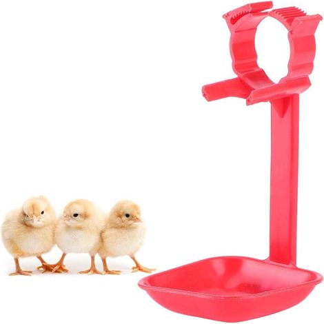 Set di 20 abbeveratoi per polli – ABS – qualità automatica – braccio di sospensione – forniture agricole