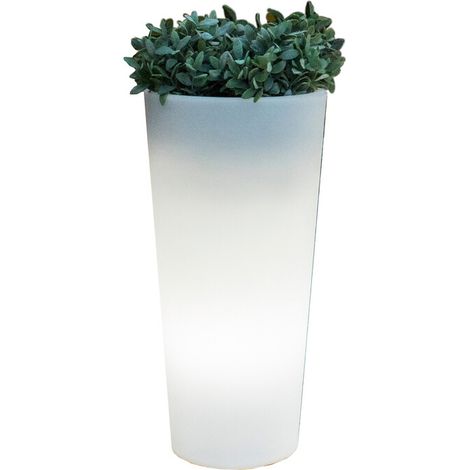 VASO SOLARE FICUS LED D 29XH59 CM RGB C/TELECOM- 1,0 pz