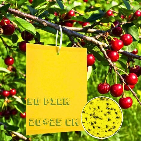 50 PC Anti Moucherons Collant Double Face, 25cm x 20 cm,Jaune Sticky Papiers pour Blanc Feuille de Mouches, Les Pucerons, Mineur avec des Liens Torsadés-Crezuo (1/4)