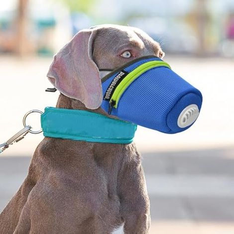 Masque pour chien, réutilisable, respirant, avec filtre à air, masque facial à gaz réglable, masque respiratoire pour chiens de grande et petite taille (bleu, taille S) (1/5)