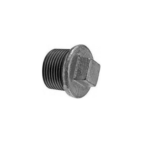 290 - Tappo maschio 1"1/4 in ghisa zincata 29025006