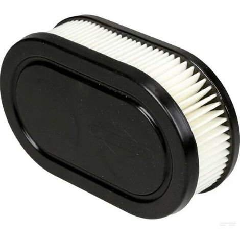Filtre À Air - Pour Moteur Thermique Briggs Et Stratton - Compatible Avec Plus De 300 Références - 1 Pièce (1/3)