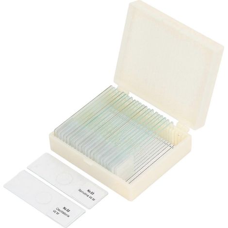 25-teiliges Set transparenter Objektträger aus optischem Glas für Algen-Zell- und Gewebeproben (1/4)