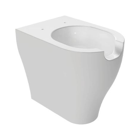 Wc App Flaminia Disabili Filomuro 54x36x H48 cm Scarico Vortice (1/3)