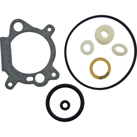 Kit de réparation de carburateur BRIGGS STRATTON 498260 498261 398183 490937 493762