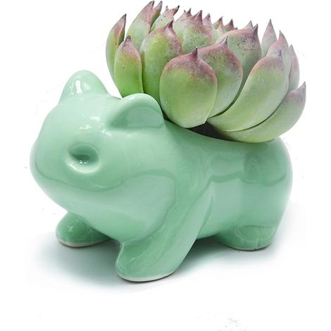Pot de fleurs de dessin animé, joli pot en céramique, vase décoratif en céramique en forme d'animal vert (1/5)