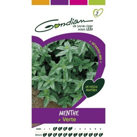 Gondian - Menthe Verte