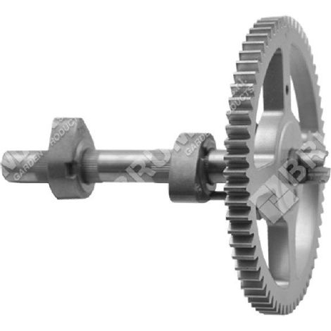 Kurbelwelle für BRIGGS & STRATTON-Motoren 793880 - 793583 - 795102 - 026003