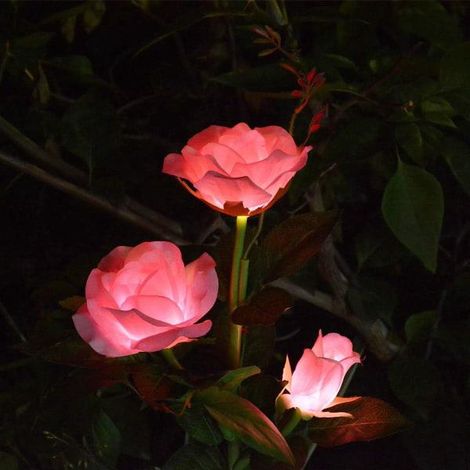 Lampes solaires LED en forme de rose, à piquer pour décorer le jardin, la cour, les tombes et les vases. Rose (1/5)
