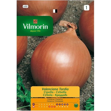 Vilmorin Graines d'oignon valencien Tard† A, Ref: 630, plus de 5 gr