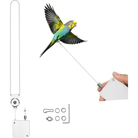 Rétractable Laisse pour Oiseaux - 1 Pièce, Blanche, Laisses Pours Perruches, Adaptée à L'entraînement au vol de Différentes Espèces d'oiseaux, Notamment Les Moineaux et Les Perroquets (1/5)