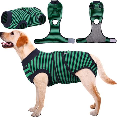 Dog Cat Recovery Suit for Dogs Cats After Surgery Abdominal Wounds Protection / Skin Disease Alternative to Electronic Pet Collar (1/5)
