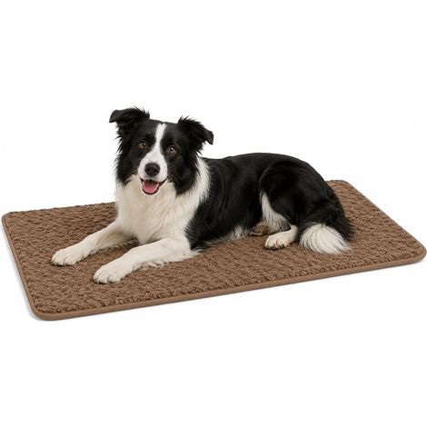 Panier Chien - Coussin Chien et Chat Orthopédique à Mémoire de Forme - Coussin Rectangulaire Beige - Convient aux Cages de Transport - 100,5x63 cm (1/5)