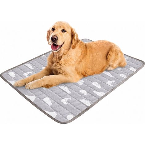 Tappetino per cani XL 110x80 cm - Resistente ai graffi e lavabile - Tappetino estivo per cani - Tappetino rinfrescante per cani e gatti - Tappetino auto-rinfrescante per cani (1/5)