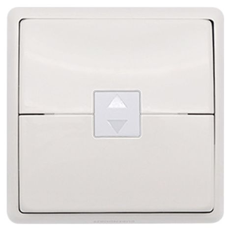 Télécommande, Boitier Vide, Bubendorff, pour Moteur de Volet Roulant