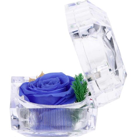 Boîte à bagues Rosebud, élégante boîte à bijoux, idéale pour le rangement, 1 pièce, en plastique. (1/5)