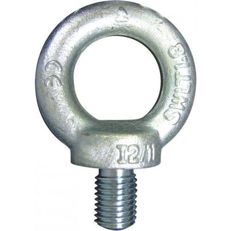 Levac - Anneau de levage mâle D. 20 mm CMU 1200 kg - 5025HG