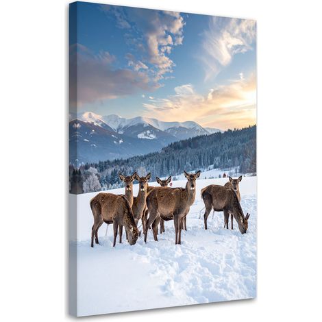 Bilder Herde von Rehen im Winter 20x30 (1/5)