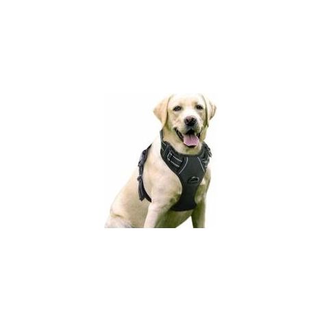 Noir XL Harnais Chien Anti Traction, Arnet pour Chien Facile à Mettre Harnais Réfléchissant Réglable avec Attache Devant Harnais pour Chien Moyen
