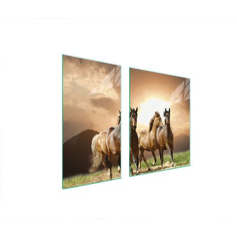 Placa protectora de vidrio PARA la estufa 90x52 caballos (1/5)