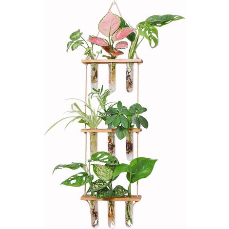 Jardinière suspendue en bouteille écologique, avec cadre en bois, vase à trois niveaux en forme de tube à essai, pot de fleurs suspendu vintage en verre, jardinière hydroponique (1/4)