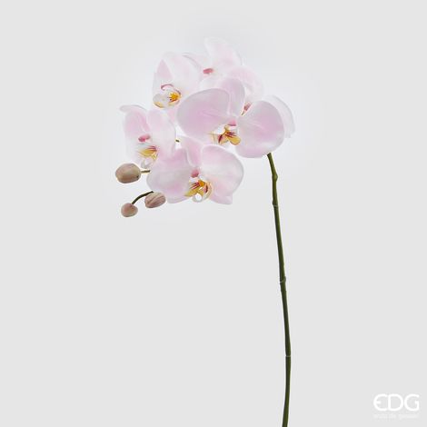 RAMO ORCHIDEA H.74 BIANCO/ROSA