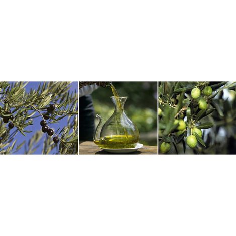 Tableau sur toile olives 30x97 cm - Impression sur Toile Murale Décorative - Image imprimée en HD sur Toile - Toile sur Châssis en Bois FSC - Fabriqué en France (1/4)