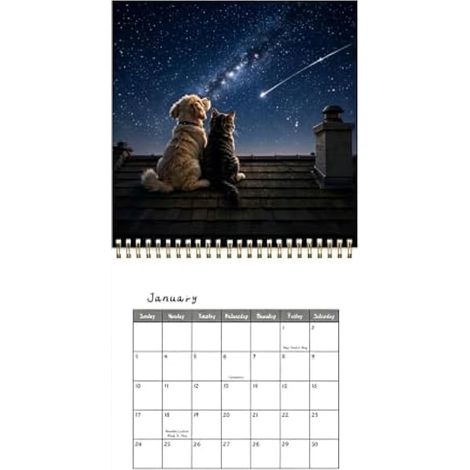 Calendrier mural 2027 Planning mensuel de janvier à décembre 20 x 20 cm (1/5)