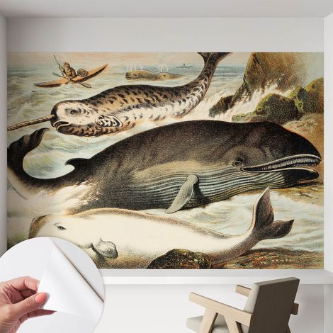 Papier peint autocollant avec imprimé pour décoration intérieure pour rénovation a motif Géants marins 152x104 cm (1/5)