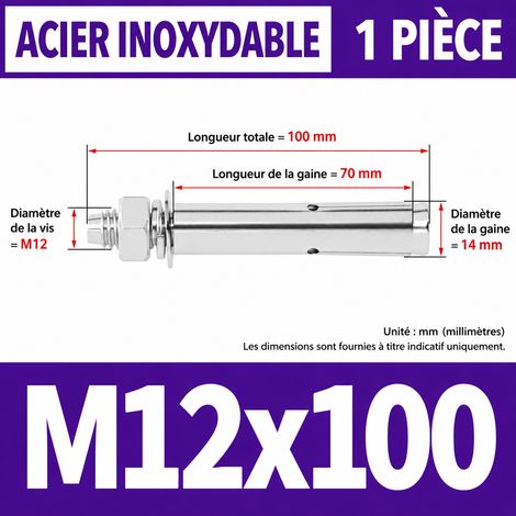 Goujon d'ancrage M12 x 100 mm inox 316 cheville métallique à expansion (1 pièce) m12 100 1 pièces 1 kg – Livraison gratuite