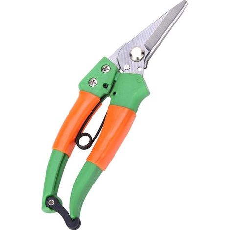 Cisailles de Jardin Sharp en Acier Inoxydable,Cisailles à Main de sécateur de Coupe de Coupe de Plante Pointue pour la cueillette de Fleurs, de Plantes, de bonsaïs, de Fruits (1/5)