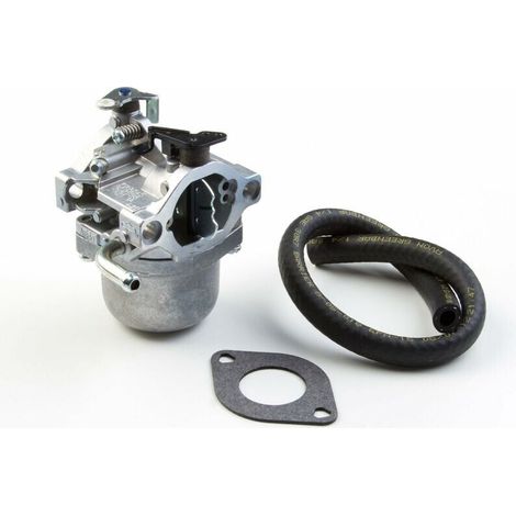 Briggs & Stratton 590399 Vergaser ersetzt 796077 FLITI (1/4)