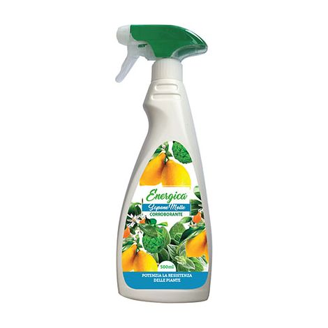 CORROBORANTE SAPONE MOLLE SPRAY ENERGICA - ML 500- 6 pezzi