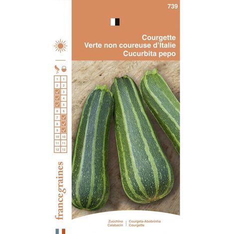 France Graines - Courgette non Coureuse
