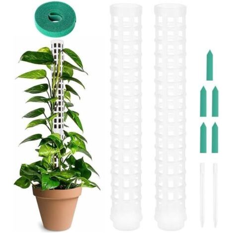 Tuteur Monstera, 2pcs Poteau de Plante grimpante en Pot, Tuteur Plante Grimpante, Tuteurs pour Plantes Grimpantes, Poteau Tuteur Plante en Pot, Tuteur pour Plantes Grimpantes pour Plantes (1/4)
