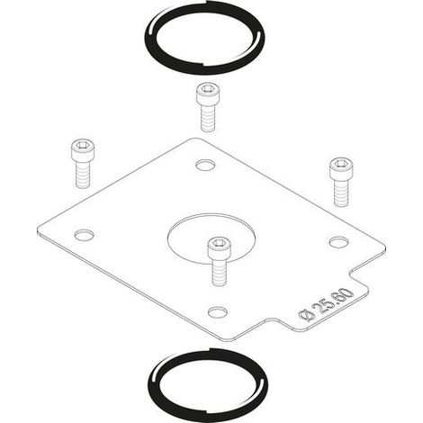 Ersatzteil 8738805009 Gasdrossel VR4XX D = 25,60 mm everp von BOSCH - 8738805009 (1/2)
