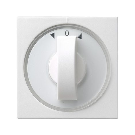 GIRA 066627 PLAQUE DE COMMUTATION ET OBTURATEUR