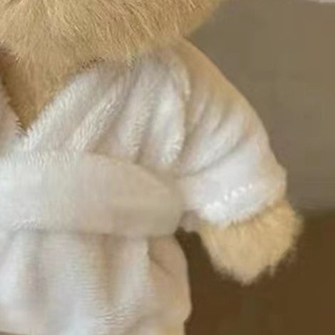 Vêtements pour adorables animaux en peluche stylés, doux et moelleux, de style dessin animé, pour ours, type 6. (1/5)