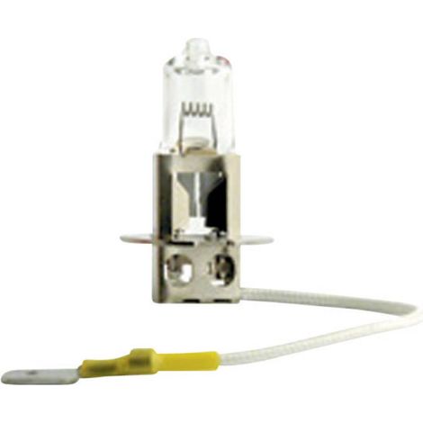 Ampoule halogène Philips Automotive 77459030 MasterDuty H3 70 W 1 pc(s) (1/2)