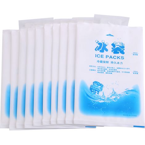 Lot de 4 sachets de gel froid réutilisable Freeze 200ml pour glacière de pique-nique (1/5)